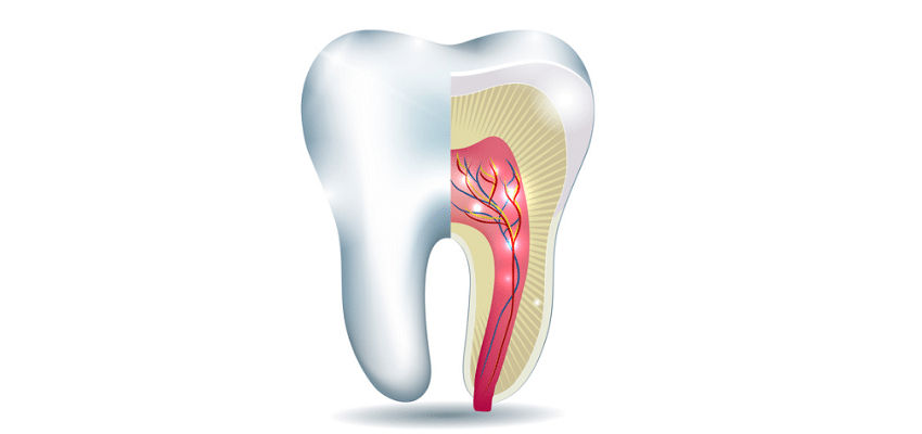 Endodontia_Orthomay